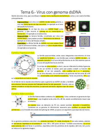 Tema 6.pdf