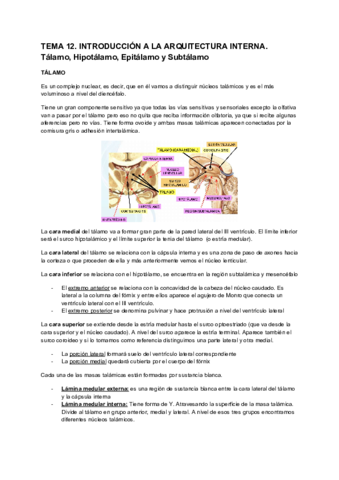 anatomia-temas-12-16.pdf