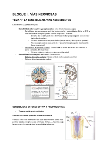 temas-anatomia-17-27.pdf