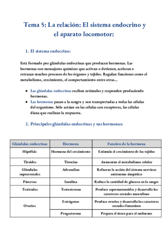 Tema-5-La-relacion-El-sistema-endocrino-y-el-aparato-locomotor.pdf