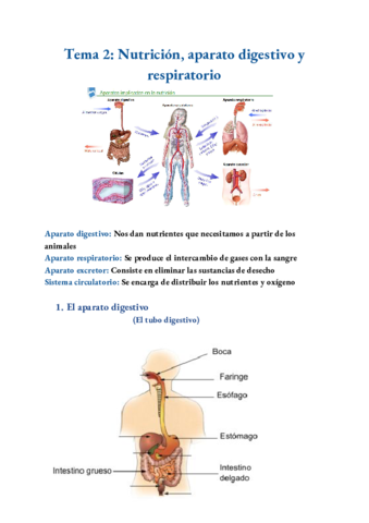 Tema-2-Nutricion-aparato-digestivo-y-respiratorio.pdf