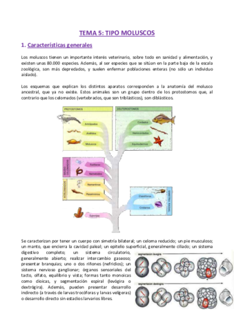 TEMA-5-Zoologia.pdf