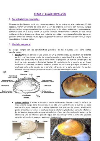 TEMA-7-Zoologia.pdf