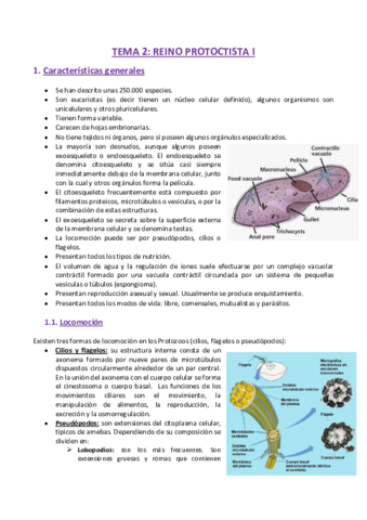 TEMA-2-Zoologia.pdf