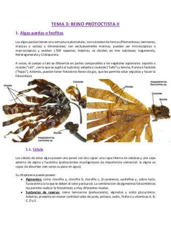 TEMA-3-Zoologia.pdf