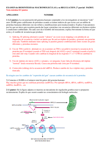 Examen-de-Biosintesis-de-Macromoleculas-del-2015-2o-parcial.pdf