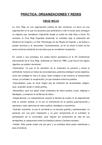PRACTICA-ORGANIZACIONES-Y-REDES.pdf