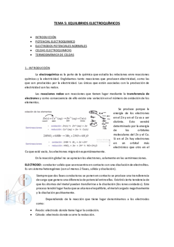Tema-5-Limpio.pdf
