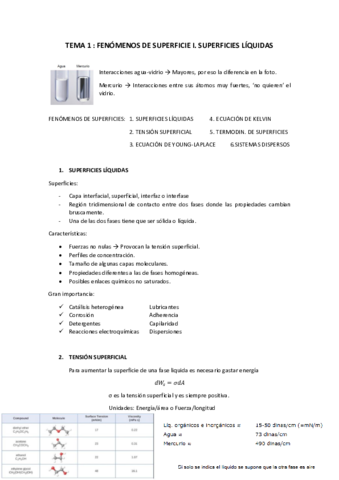 Tema-1-Limpio.pdf