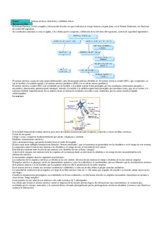 Apuntes examen psicomotor.pdf