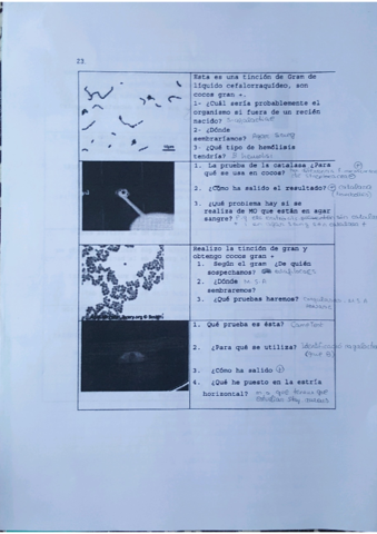3.pdf