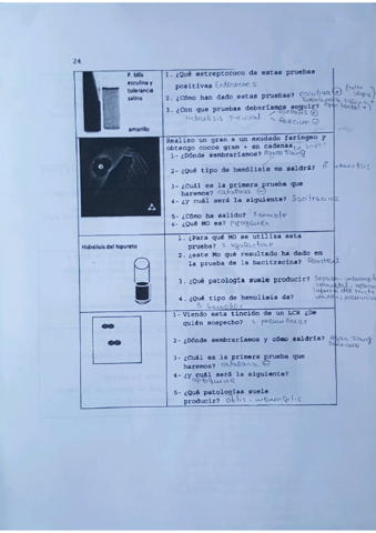 4.pdf
