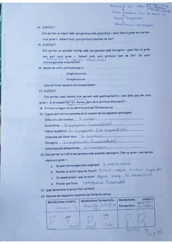 2.pdf