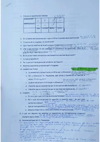 1.pdf