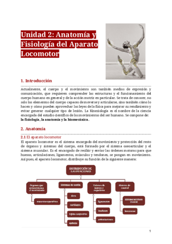 El-aparato-locomotor.pdf
