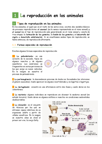 La-reproduccion-en-los-animales.pdf