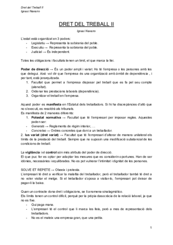 Dret-del-treball-II-ignasi-navarro.pdf