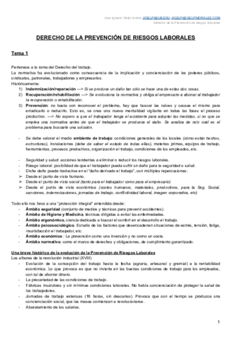 Derecho-PRL-Jose-Ignacio-Gelpi-Jordan.pdf