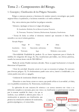 Tema-2-Componentes-del-Riesgo.pdf