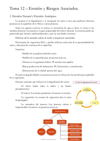 Tema-12-Ersion-y-Riesgos-Asociados.pdf