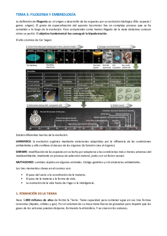 TEMA-PODOLOGIA-BASICA-Y-BIOMECANICA-14-25.pdf