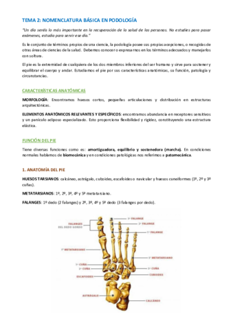 TEMA-PODOLOGIA-BASICA-Y-BIOMECANICA-7-13.pdf