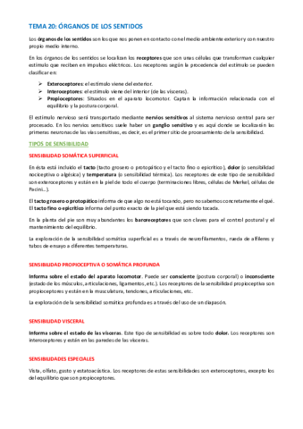 TEMA-ANATOMIA-ESPECIFICA-20.pdf