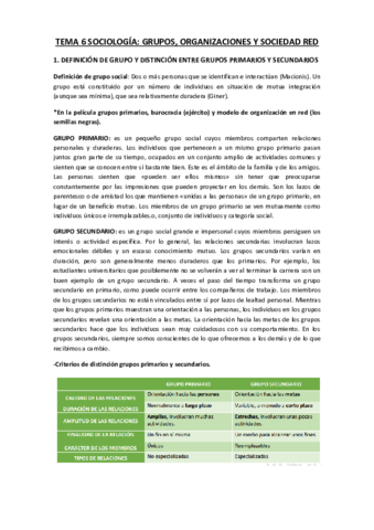 TEMA-6-Grupos-organizaciones-y-sociedad-red.pdf