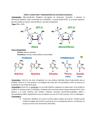 tema-4-bioq.pdf