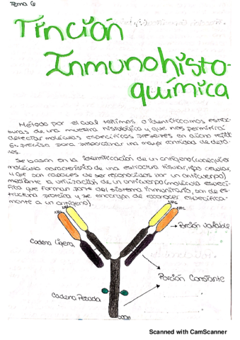 Tema-7-Tincion-Inmunohistoquimica2019070161322-p.pdf