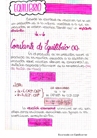 Tema-7-Equilibrio.pdf