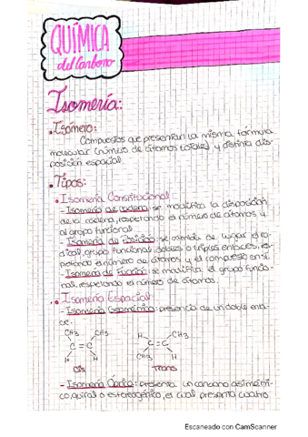 Tema-10-Quimica-Organica.pdf