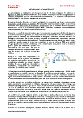 Metabolismo de aminoácidos.pdf