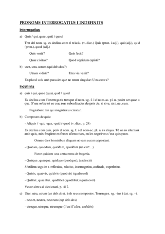 Interr-indef.pdf