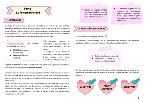 Tema-1-psicomotricidad.pdf