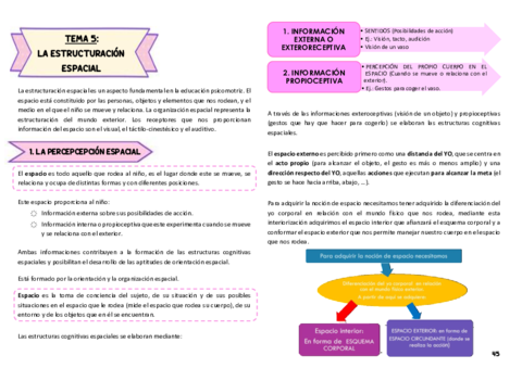 Tema-5-psicomotricidad.pdf