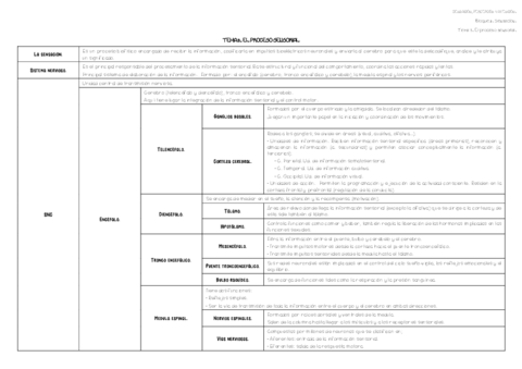 Tema-3.pdf