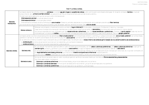 Tema-9.pdf