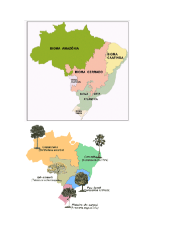 Mapas-de-brasil.pdf