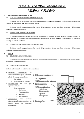 TEMA-5.pdf