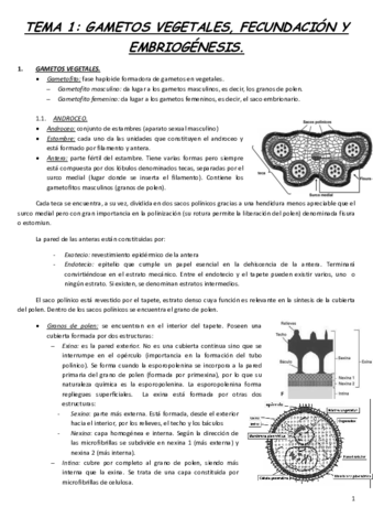 TEMA-1.pdf