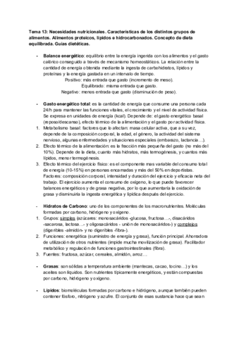 Tema-13.pdf
