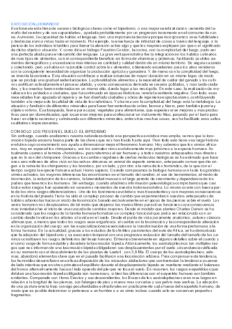 EXPOSICION-SOBRE-EL-SER-HUMANO-LA-NUEVA-ESPANA-ANALISIS.pdf