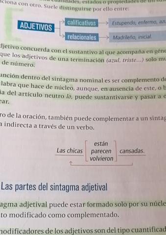 Lengua.pdf