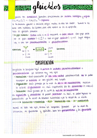 glucidos.pdf