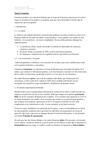 TEMA-5.pdf