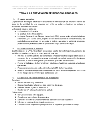 RESUMEN-Prevencion-de-RL.pdf