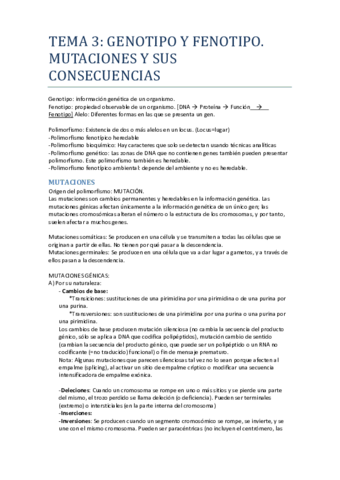 tema 3.pdf