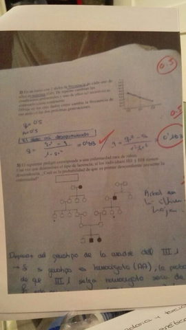 IMG-20150529-WA0002 (2).jpg