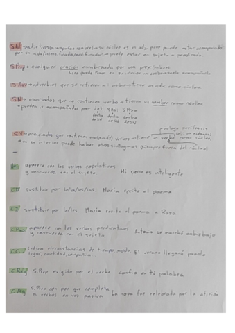 Basico-de-sintaxis.pdf